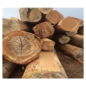 Troncos de madera de roble de alta calidad, longitud y diámetro personalizados, troncos de madera de roble crudo para hacer muebles de Austria