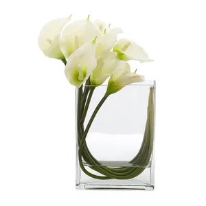 VBV6408 - Florero Rectangular de Vidrio - 6 x 4 x 8 - Product Image 3