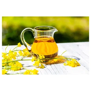 Buy Now High Selling Super Quality Pure Natural Product Canola Oil at Best Selling Price