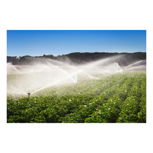 Fairly used <b>irrigation</b> <b>system</b> offered in stock with durable agricultural design - Product Image 3