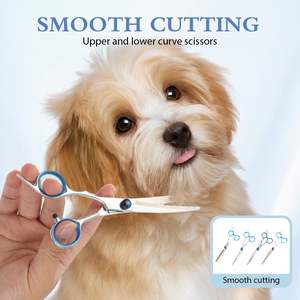 Professional 4-in-1 Dog Grooming <b>Scissors</b> Kit Titanium-Coated Safety <b>Shears</b> & Comb Stainless Steel Rust-Resistant - Product Image 6