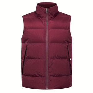 Chaleco Acolchado para Hombre, Moderno y Aislado, para un Estilo Urbano Informal y para Usar en Capas en Invierno - Product Image 1