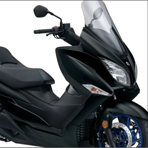 Tout neuf, dernier modèle 2025 Burgmannn 400 industriel DIY OEM avec 1 an de garantie - Product Image 3