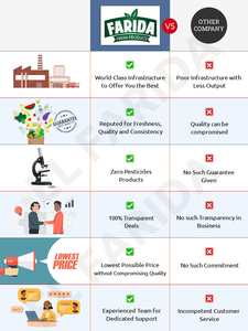 Duy Nhất Gia Vị Cung Cấp Sản Phẩm Ai Cập Xuất Khẩu Xuất Khẩu Chất Lượng Hàng Đầu Cao Cấp Cấp Dinh Dưỡng Khô Cần Tây Lá Tốt Nhất Giá Thị Trường - Product Image 6