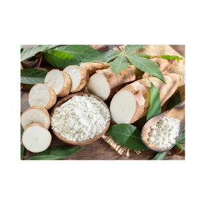 ราคาที่แข่งขันได้มากที่สุด: แป้งมันสำปะหลังพรีเมี่ยม/มันสำปะหลัง100% เป็นธรรมชาติในเวียดนามเรียบและสม่ำเสมออย่างสมบูรณ์แบบ - Product Image 5