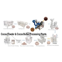 Machine professionnelle de décorticage et de torréfaction de fèves de cacao avec une capacité de 300 kg/h et un taux de décorticage de plus de 99 % (Peladora De Cacao)