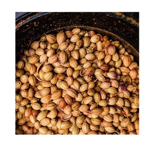 Graines de coriandre à vendre - Product Image 4