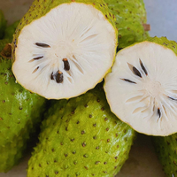 Premium Vietnamese verse zuurzak - Betrouwbare leverancier voor groothandel