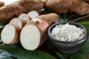 Good Grade Tapioca Flour (Cassava <b>Starch</b>) Native and Modified Corn <b>Starch</b> in Powder Form Bag Packaging for Food Industry Use - Product Image 4