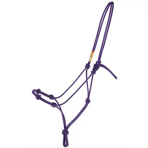 Licol de cheval de qualité supérieure, couleur noire, excellent matériau, logo personnalisé, fournisseur OEM - Product Image 1