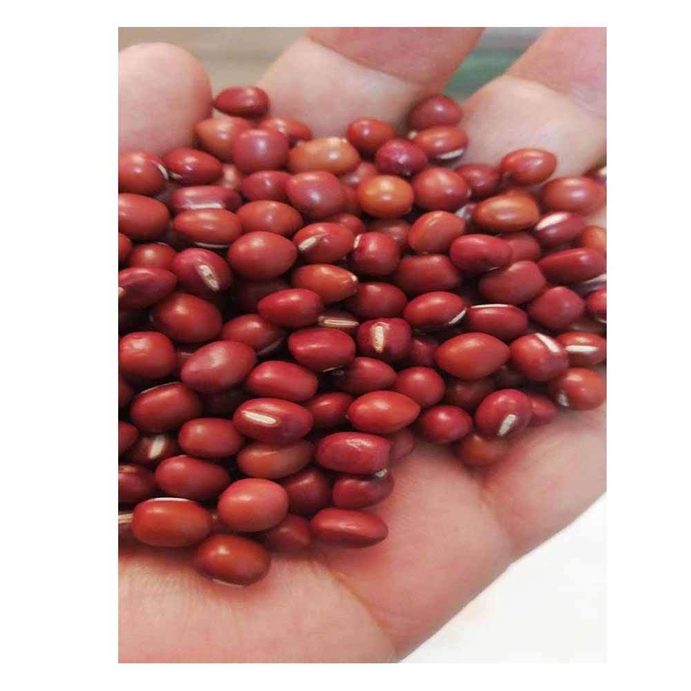 Grosir Cranberry merah Speckled kacang pinto gula kacang kacang untuk makanan kaleng