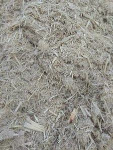 เศษชานอ้อย/ วัสดุชานอ้อยดิบอบแห้ง 100% จากธรรมชาติ ลดราคาช่วงซีซั่น - Product Image 4