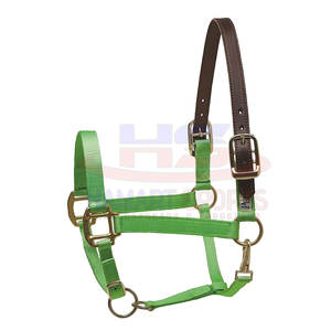 Licou cheval rembourré en cuir souple de haute qualité, sangle réglable, équipement d'équitation - Product Image 3