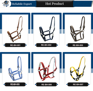 Licou cheval en PVC de bonne qualité, équipement équitation étanche, licou cheval disponible au prix de gros - Product Image 5