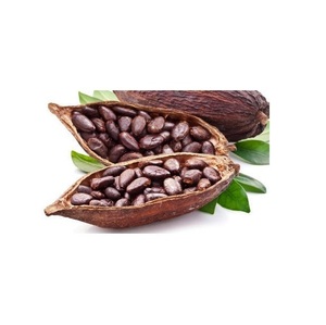 เมล็ดโกโก้เวียดนามคุณภาพสูง 100% จากธรรมชาติ - Product Image 1
