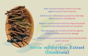 Fourniture directe d'usine HGO d'extrait de Salvia miltiorrhiza naturel pur (qualité alimentaire santé) Spécification Danshensu 10% - Product Image 5