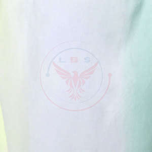 Camisetas de Mujer Casuales, Ecológicas, 100% Algodón, Transpirables, Precio Razonable, Venta al Por Mayor, Nueva Llegada - Product Image 6