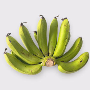 Plátano fresco Cavendish AL POR MAYOR PLÁTANO VERDE CAVENDISH FRESCO CON PRECIO/CALIDAD ATRACTIVA - Product Image 6