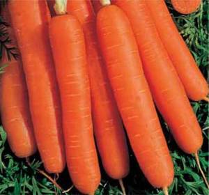 Fournisseur chinois de légumes frais de nouvelle saison si gros prix de gros de carottes fraîches en Chine graines de carottes rouges fraîches pour le Canada et les États-Unis - Product Image 4