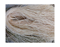 Natural Sisal Fiber Eco-Friendly Raw Other Fiber for Hair Extension Manufacturers