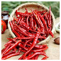 Piments rouges entiers séchés de qualité supérieure, naturels, transformés par lyophilisation, assaisonnement alimentaire, exportateur PRISTINE WORLDWIDE, 1 kg, prêts à l'emploi