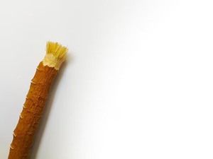 <span class=keywords><strong>Peelu</strong></span> milwak sewak Trắng chủ, siwak xuất khẩu nhà sản xuất, khách hàng thương hiệu milwak thanh bao bì tự nhiên milwak - Product Image 2