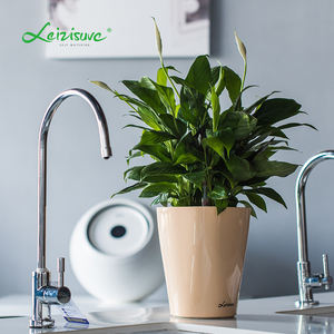 सस्ते छोटे मिनी खिड़की स्वयं पानी के लिए प्लास्टिक के फूल के बर्तन फूलदान सजावट - Product Image 6