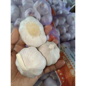 Best Quality <b>Fresh</b> Natural <b>Garlic</b> New Crop <b>Fresh</b> Normal White <b>Garlic</b> - Product Image 1