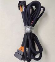 Harnais de câblage automobile OEM personnalisé de qualité supérieure, indice de protection IP67, gaine en PVC 600V, assemblage de câbles électriques haute performance et longue durée de vie