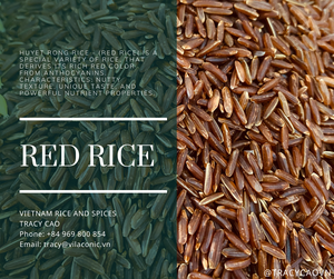 ARROZ ROJO ECOLÓGICO 5% ROTO Y SIN GLUTEN PARA PERSONAS MAYORES WA + 84 969 800 854 - Product Image 3