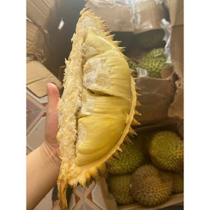 OFERTA CALIENTE DURIAN CONGELADO AL POR MAYOR SUMINISTRO A GRANEL TOP VENTAS PRODUCTO DE EXPORTACIÓN DE FRUTAS TROPICALES NATURALES DE CALIDAD PREMIUM - Product Image 6