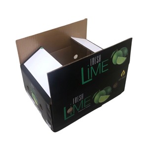 กล่องบรรจุภัณฑ์กระดาษลูกฟูกพร้อมโลโก้สำหรับการจัดส่งผลไม้สดรีไซเคิลได้เป็นมิตรกับสิ่งแวดล้อม - Product Image 1