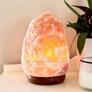 Lampe en sel de l'Himalaya sculptée à la main - Haute qualité, taille et design personnalisables, vente en gros disponible - Product Image 4