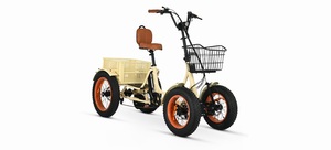 ANYterrain 4 Wheel 750w Recumbent E-<b>Bike</b> - Product Image 6
