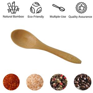 [Holar] Mini cuillère en bambou à assaisonnement naturel solide réutilisable et écologique fabriquée à taïwan - Product Image 3