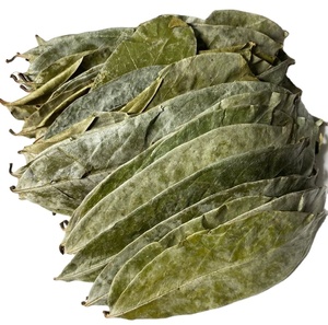 BUEN PRODUCTO HOJAS DE GRAVIOLA SECAS/HOJAS DE SOURSOP, MEJOR PRECIO - Product Image 1