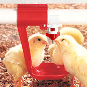 Bebedero Automático de Acero Inoxidable y Plástico YYW LM-48 <span class=keywords><strong>para</strong></span> Pollos de Engorde y <span class=keywords><strong>Gallinas</strong></span> Ponedoras - Product Image 1