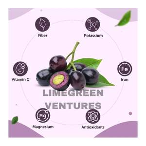 Jamun Seeds Wholesale Organic Syzygium Cumini Seeds Export India Bulk Exporter Supplier Double Tongues Brand 12 Months Shelf - Product Image 3