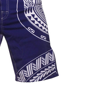 Short de sport personnalisé de haute qualité pour hommes Short Mma au design personnalisé à bas prix Short Mma Faites votre propre short de combat Mma Service OEM - Product Image 6