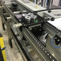 Sistema de Transporte de Cadenas para Palets de Alta Resistencia con Módulos Acumuladores Automáticos para Centros de Distribución Logística de Almacenes