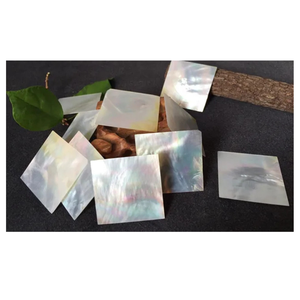 ช่องว่างของเปลือกหอยมุกสีขาวขัดเงาด้วยมือพร้อมสำหรับการส่งออกที่ใช้ในเครื่องดนตรีเครื่องประดับและเฟอร์นิเจอร์ - Product Image 2