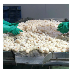 ลิ้นจี่แช่แข็งเวียดนามลิ้นจี่ปอกเปลือกหวานฉ่ำคุณภาพสูง - Product Image 6