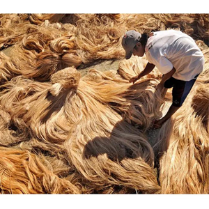 Meilleure vente de matériaux écologiques, Fiber de bananier, Fiber de bananier Pure, vente en gros, haute qualité 99GD - Product Image 3