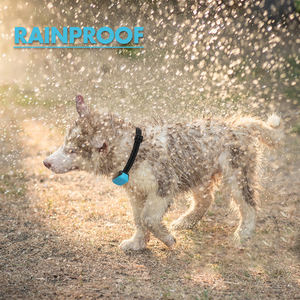 छोटा कुत्ता भौंकना नियंत्रण कॉलर स्मार्ट रिचार्जेबल एंटी बार्किंग ट्रेनिंग कॉलर - Product Image 5