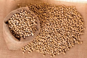 Premium Brazilian Dried <b>Soybeans</b> Grain Quality Seeds 25kg Bulk Pack - Product Image 2