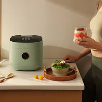 Cuisinière électrique multifonction intelligente à écran tactile 3L, cuiseur à riz, maintien au chaud, arrêt automatique, pour 2-3 personnes, niveau 3 d'efficacité énergétique