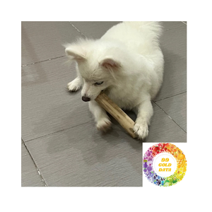 ไม้กาแฟสำหรับสุนัขของเล่นสัตว์เลี้ยงที่ทนทานรองรับการเคี้ยวเพื่อสุขภาพและให้เวลาสนุกทุกวัน - Product Image 2