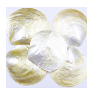 Exquisite White Mother of Pearl Spoon for Caviar Lovers Gourmet Food Tasting Luxury Dining and Wedding Events - Product Image 4