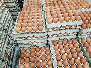 Farm Fresh Chicken Table <b>Eggs</b> / White Supplier of Fresh Protein Rich Farm Chicken <b>Eggs</b> Fresh Table <b>Eggs</b> White Farm - Product Image 4