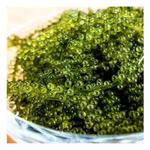 Uvas marinas naturales Premium, cobertura de algas verdes para ensaladas, uvas marinas fáciles de usar, algas marinas de moda para mejorar directamente los alimentos - Product Image 6